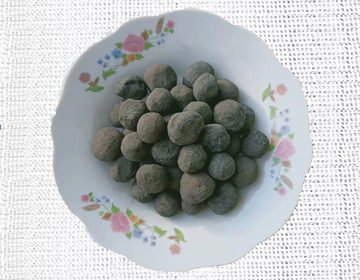 鐵碳基生物載體